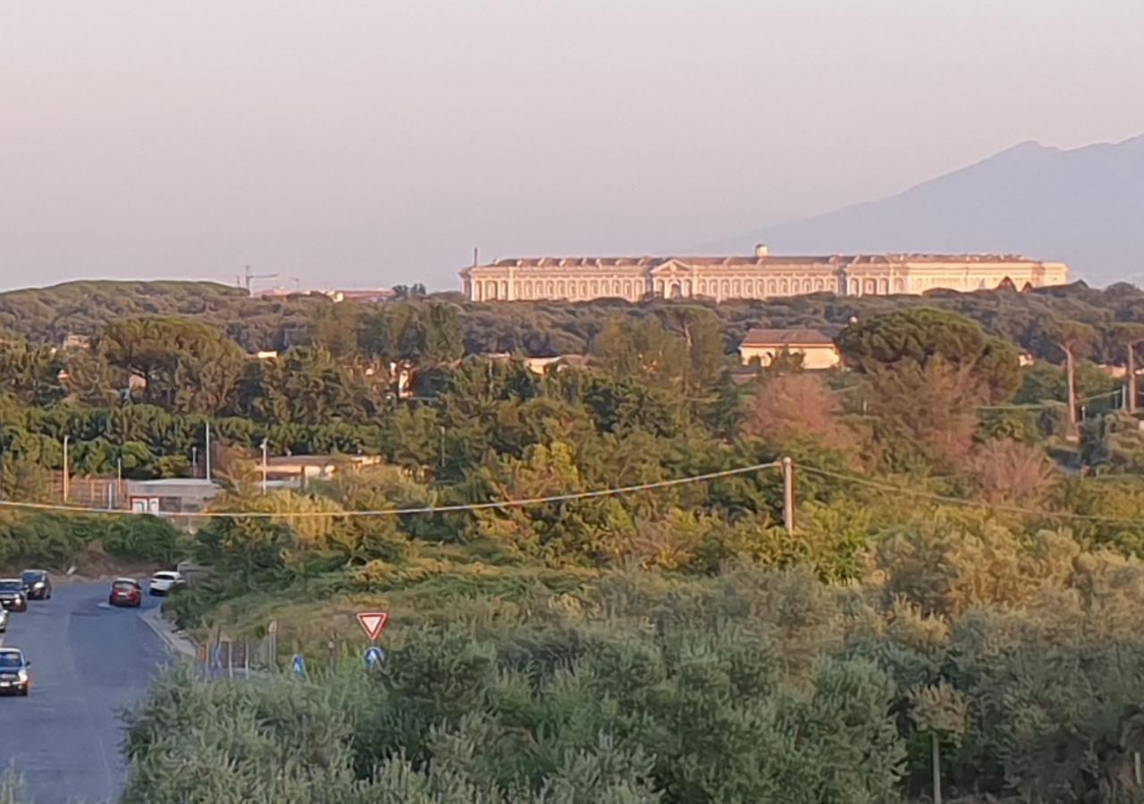 كازيرتا B&B Oliveto المظهر الخارجي الصورة